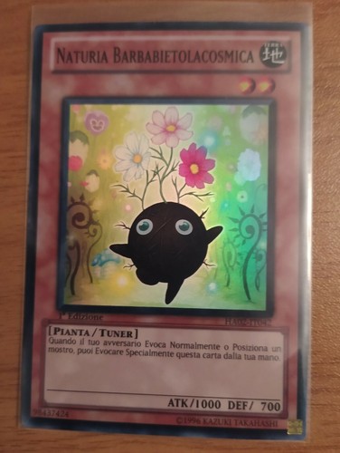 Carta naturia - carta,