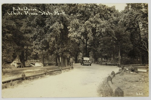 1937 white pines state park - white,