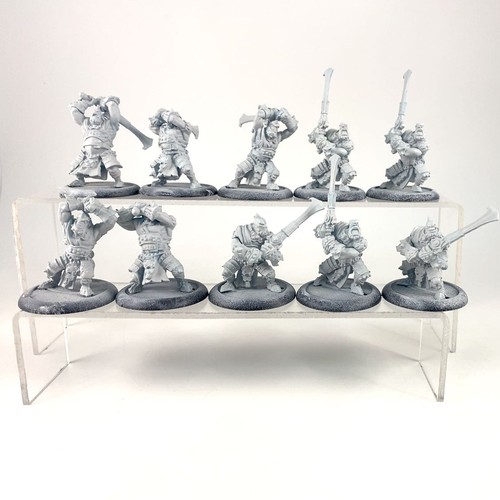 X10 trollkin fenblades unit - x10,