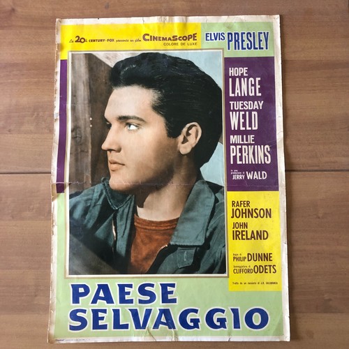 Fotobusta elvis presley - elvis,