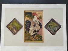 ANTICA STAMPA COLORI 1900 LIBERTY ORIGINALE CARLO TESTA GALLO CHIOCCIOLA