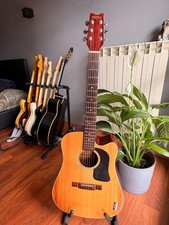 RARA Washburn D 12 CE/N
