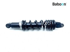 Ammortizzatore posteriore