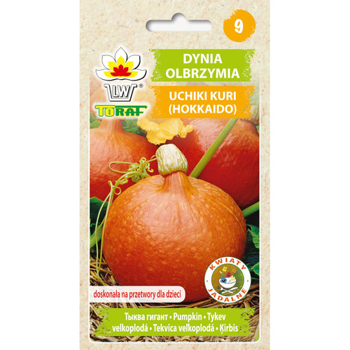 Zucca gigante uchiki kuri - gigante,