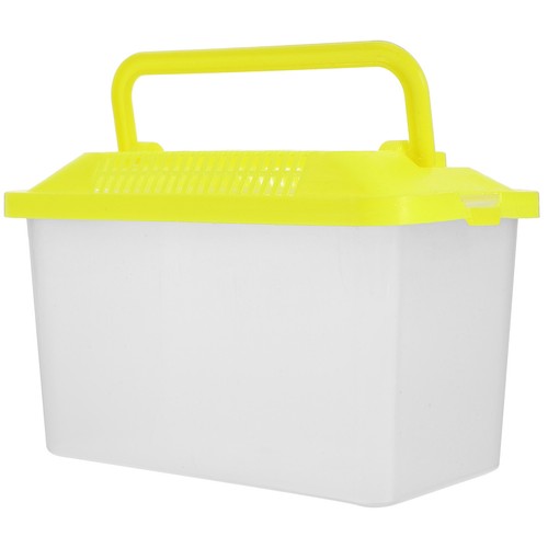 Pesci rossi acquario portatile - pesci,