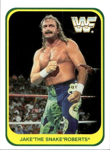 Card wwf wrestling merlin 1991 - wrestling,