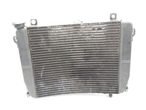 Radiatore acqua aprilia tuono - radiatore,