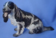 SETTER INGLESE SPRINGER