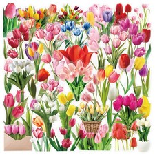 Fiore di tulipano regalo
