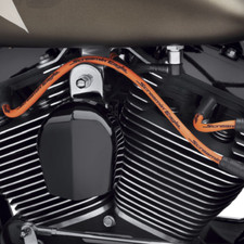 Harley Davidson Screamin'