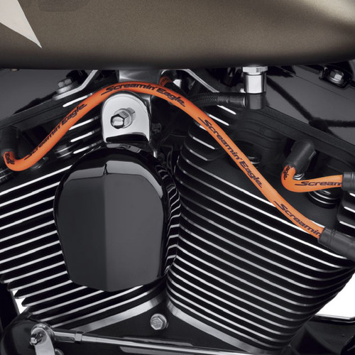 Harley davidson screamin - harley, screamin'