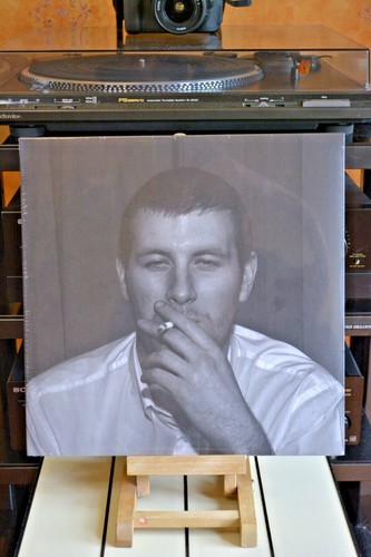 Arctic monkeys whatever - monkeys:,
