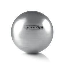 Technogym Wellness Ball Training Fit Ball Nuova