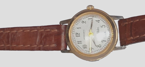 Girard bolet lady - bolet,