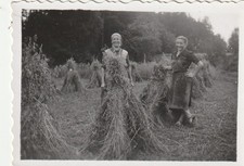 B2 - Foto Photo Fotografia