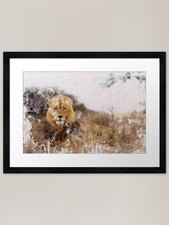 Quadro acquerello Leone Africa