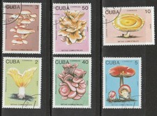 Funghi set completo 1989 funghi champignons грибы hongos C3639