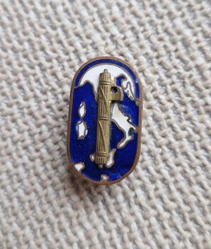 Spilla distintivo partito - spilla,