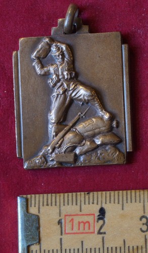 Medaglia alpini caduti - alpini,