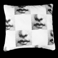 Pillow Coussin Kissen Kussen