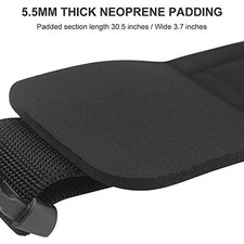 Cintura Progettata per