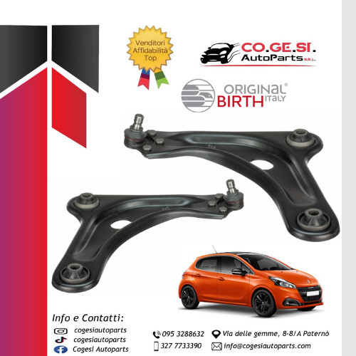 Coppia bracci oscillanti - coppia,