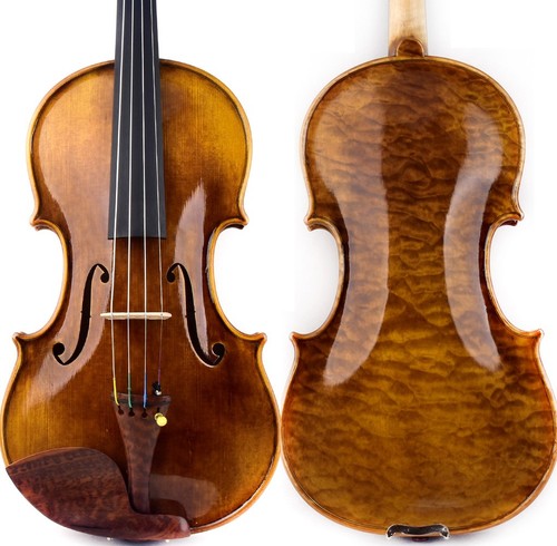 T31 master antico - t31+, guarnieri