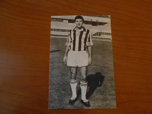 Cartolina stacchini juventus - cartolina-stacchini-,