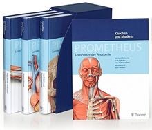 Prometheus lernpaket anatomie - prometheus,