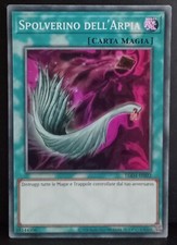 SPOLVERINO DELL'ARPIA •