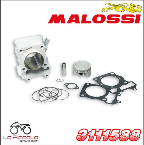 3111588 malossi gruppo termico - 3111588,
