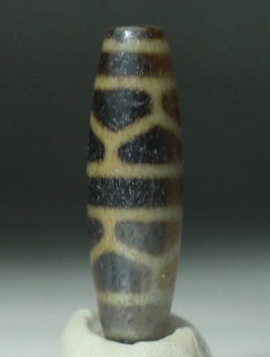 192 tartaruga amuleto dzi - n.,