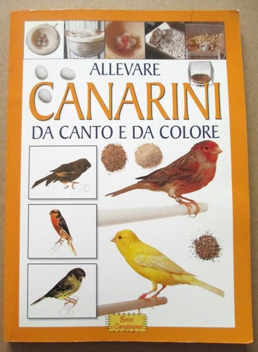 Allevare canarini canto e - da,