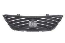 Griglia radiatore nero