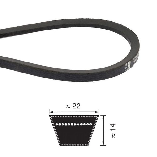 Cinghia 22x9144 c360 - cinghia,