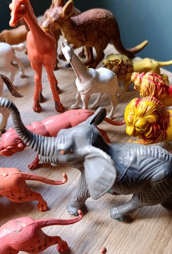 Lotto animali savana non - animali,