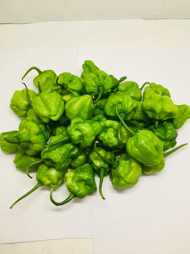 Cialde peperoncino piccante - cialde,
