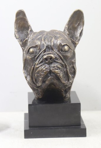 Busto bronzo bulldog - bronzo, di