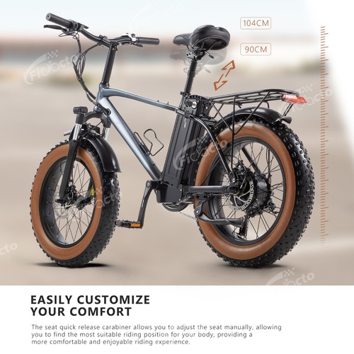 Bicicletta elettrica retrò