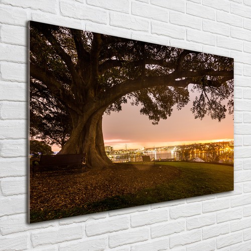 Quadro immagine arte parete - arte, da