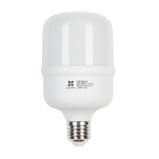 Quadralite LED Light Bulb 20W