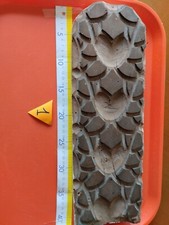 ANTICO TIMBRO STAMPO IN LEGNO