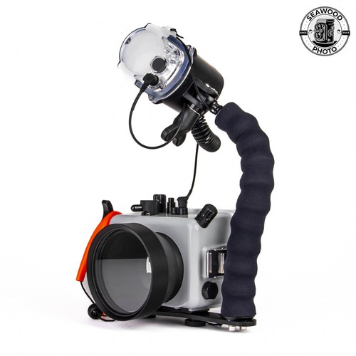 Custodia subacquea ikelite - subacquea,