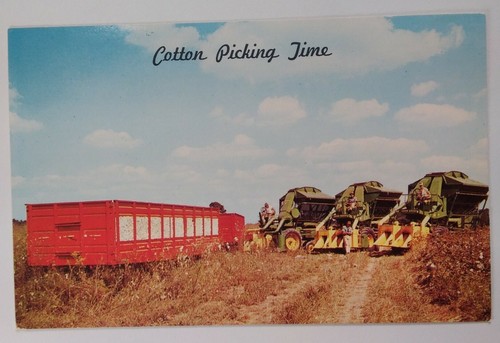Cartolina florida metà 1900 - florida,