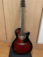 Chitarra Acustica Elettrica SX