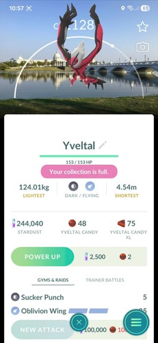 Pokemon non shiny - pokemon,