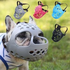 Muso in rete per Bulldog