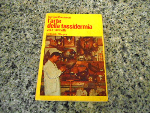 Sergio marchetti l - -, l'arte