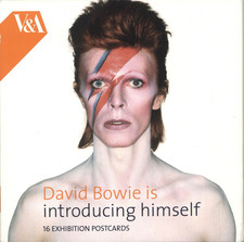 DAVID BOWIE IS, PRESENTANDOSI