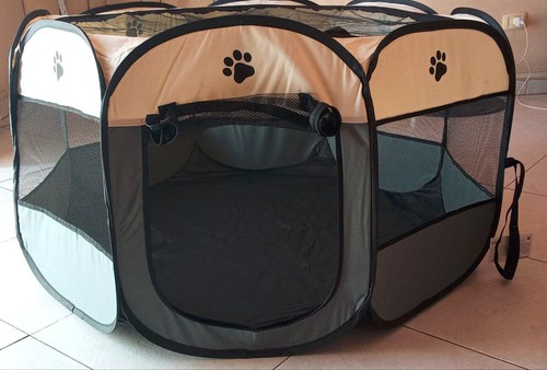 Box gatti cani - cani,
